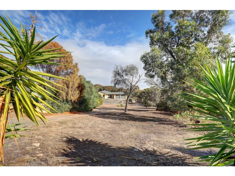 203 Esplanade, Coffin Bay SA 5607