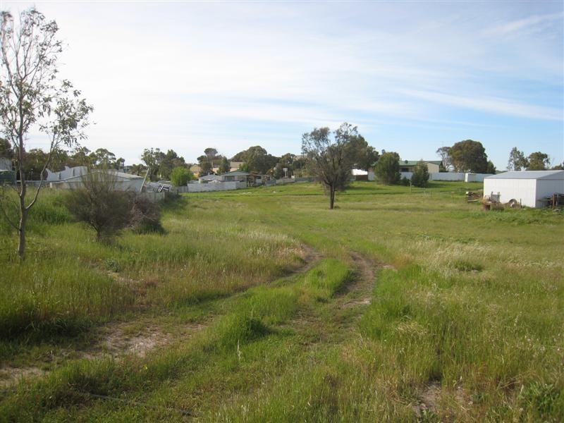 Lots 214-215 First Street, Wangary SA 5607