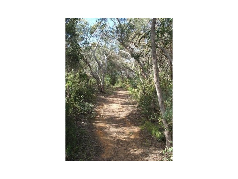 7 Flinders Ave, Coffin Bay SA 5607