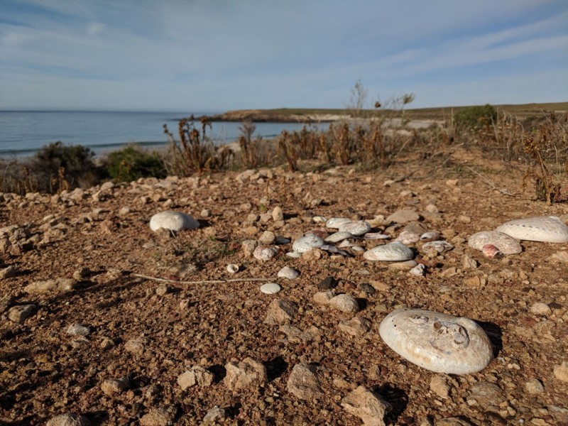 Lot 3 Kiandra Road and Lot 4 South Coast Road, Lipson SA 5607