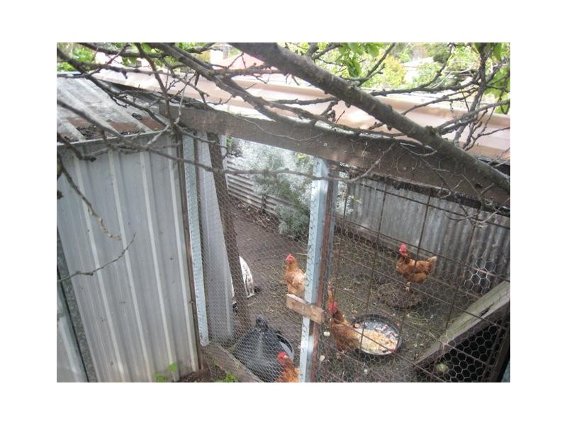 7 Dorset Place, Port Lincoln SA 5606