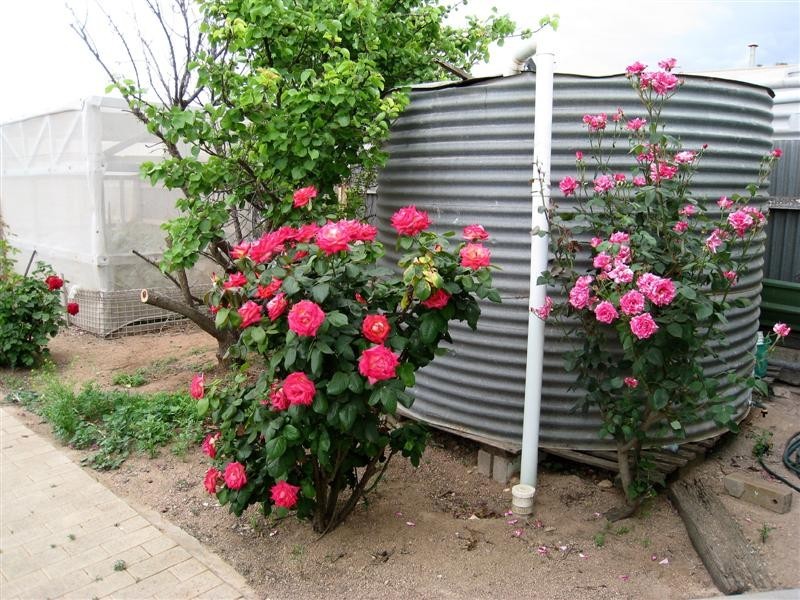 1 Poynton Street, Ceduna SA 5690
