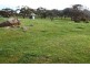 Lot 24 Roberts Road, Boston via, Port Lincoln SA 5606