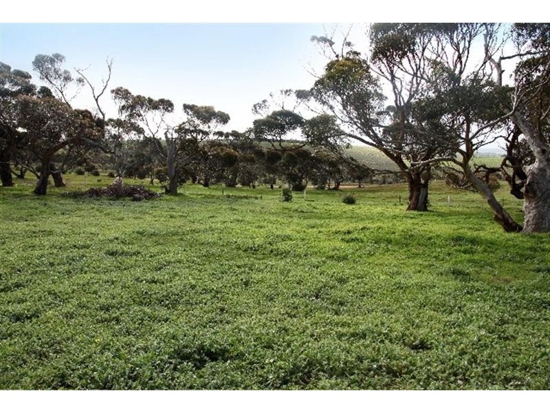 Lot 24 Roberts Road, Boston via, Port Lincoln SA 5606