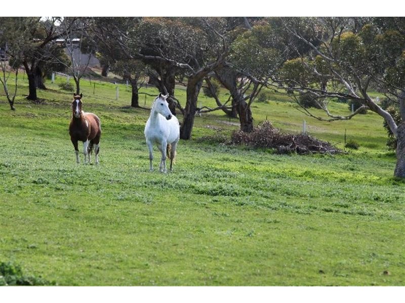 Lot 24 Roberts Road, Boston via, Port Lincoln SA 5606