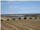 Lot 154 Richardson Road, Port Lincoln SA 5606