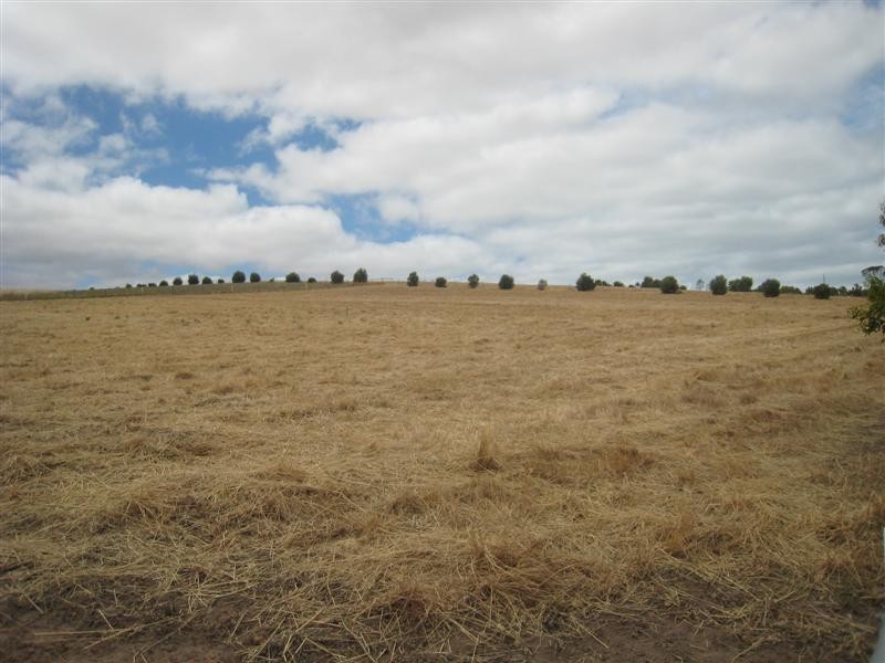 Lot 256 Richardson Road,, Port Lincoln SA 5606