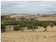 Lot 256 Richardson Road,, Port Lincoln SA 5606