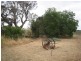 Sec 109 Flinders Highway, Warrow SA 5607