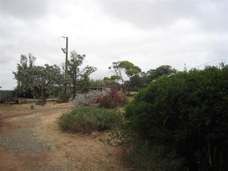 Sec 109 Flinders Highway, Warrow SA 5607