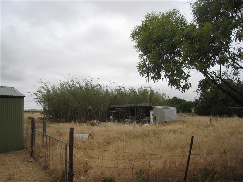 Sec 109 Flinders Highway, Warrow SA 5607