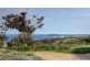 177 Richardson Road, Boston SA 5607