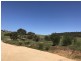 Lot 2 / 177 Richardson Road, Boston SA 5607