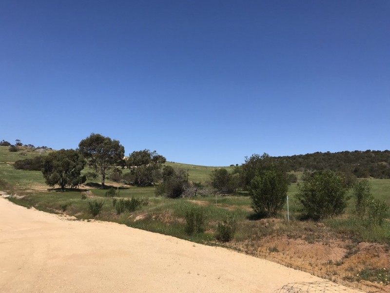 Lot 2 / 177 Richardson Road, Boston SA 5607