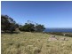 Lot 2 / 177 Richardson Road, Boston SA 5607