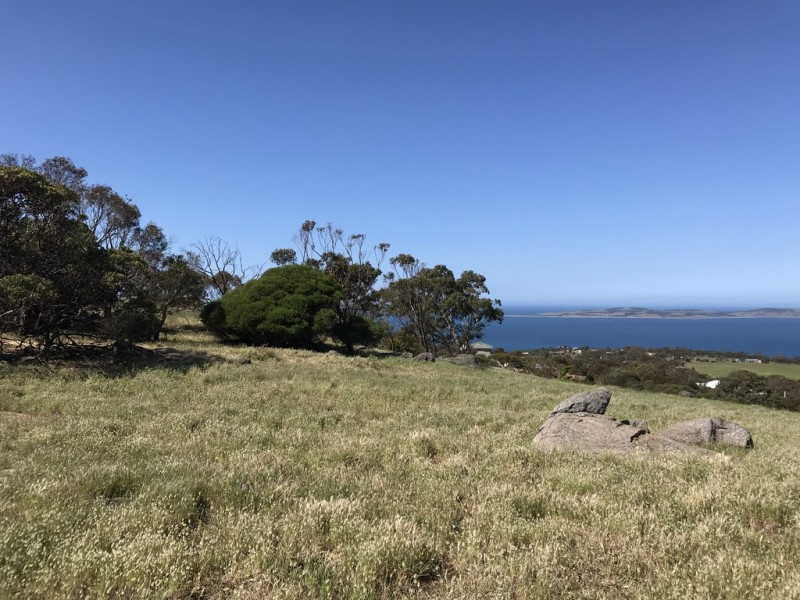 Lot 2 / 177 Richardson Road, Boston SA 5607