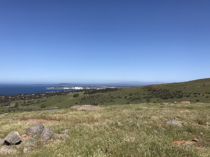 Lot 2 / 177 Richardson Road, Boston SA 5607