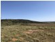 Lot 2 / 177 Richardson Road, Boston SA 5607