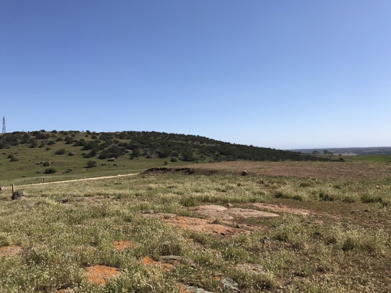 Lot 2 / 177 Richardson Road, Boston SA 5607
