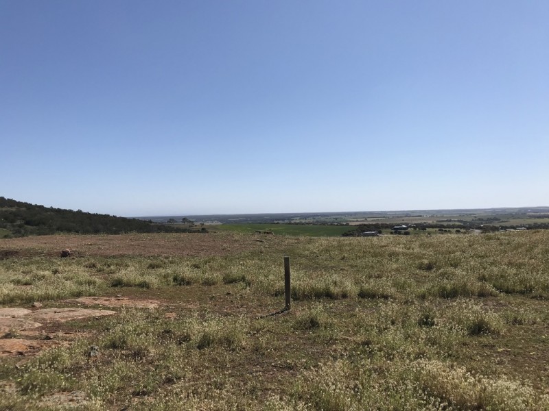 Lot 2 / 177 Richardson Road, Boston SA 5607