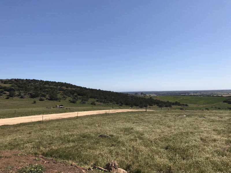 Lot 2 / 177 Richardson Road, Boston SA 5607