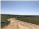 Lot 2 / 177 Richardson Road, Boston SA 5607