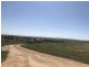 Lot 2 / 177 Richardson Road, Boston SA 5607