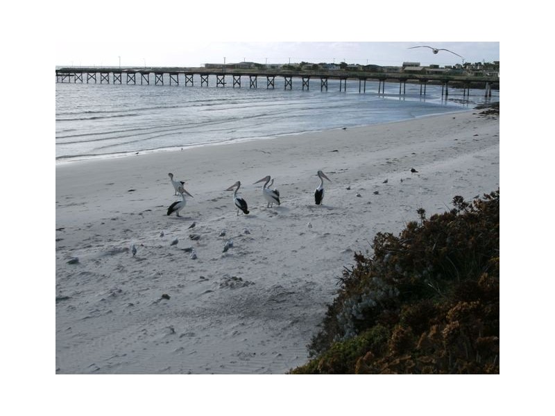 15 Mottled Cove Road, Port Neill SA 5604