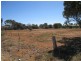 Lot 56 East Terrace, Lipson SA 5607