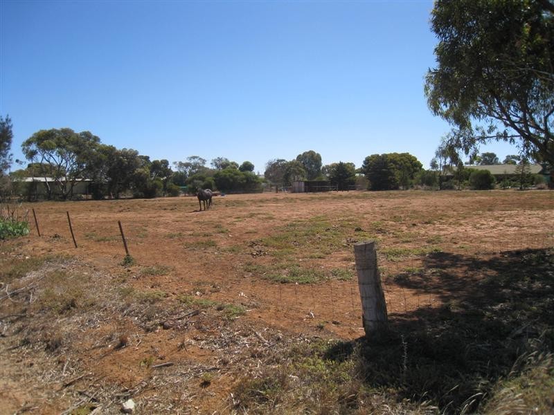 Lot 56 East Terrace, Lipson SA 5607