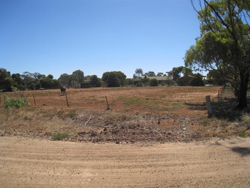 Lot 56 East Terrace, Lipson SA 5607