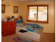 20 Walter Street, Port Lincoln SA 5606