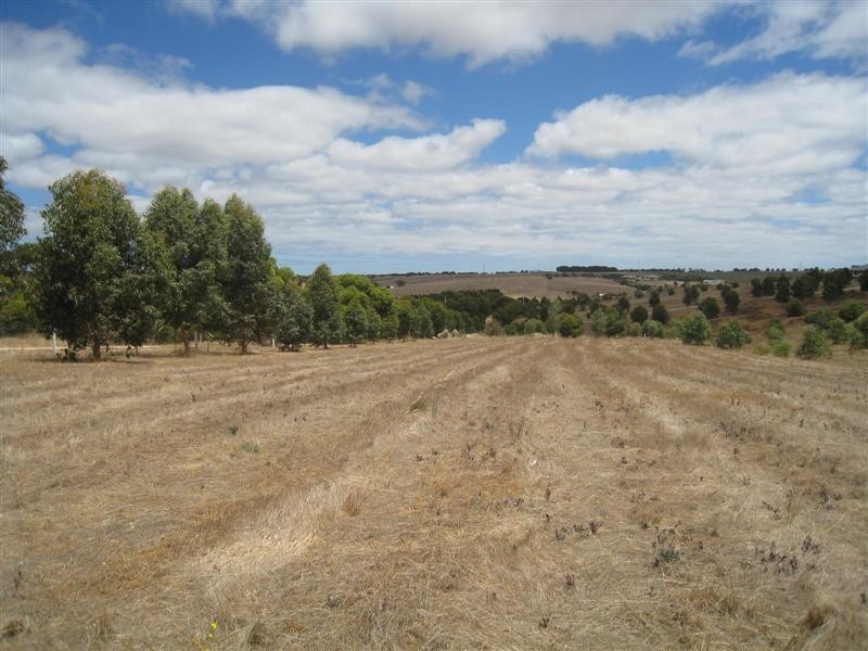 Lots 50 and 51 Roberts Road, Port Lincoln SA 5606