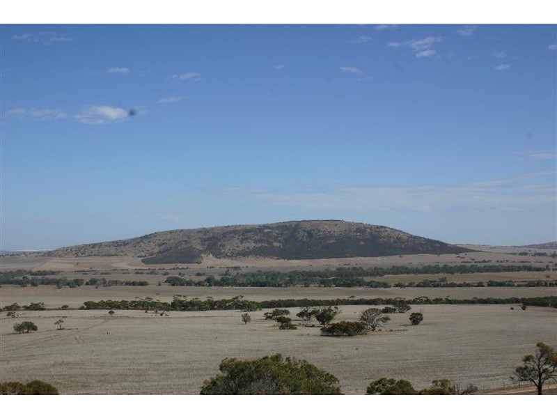 Lots 3 and 5 Government Road, Wangary SA 5607