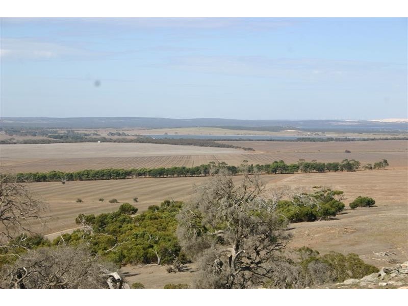 Lots 3 and 5 Government Road, Wangary SA 5607