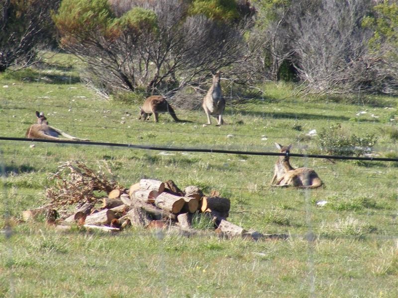 4 Grimm Road, Coffin Bay SA 5607