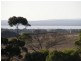 Section 58 Government Rd, Coulta SA 5607
