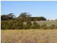 Section 58 Government Rd, Coulta SA 5607