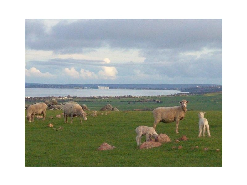 Boston View White Flat Road, Port Lincoln SA 5606