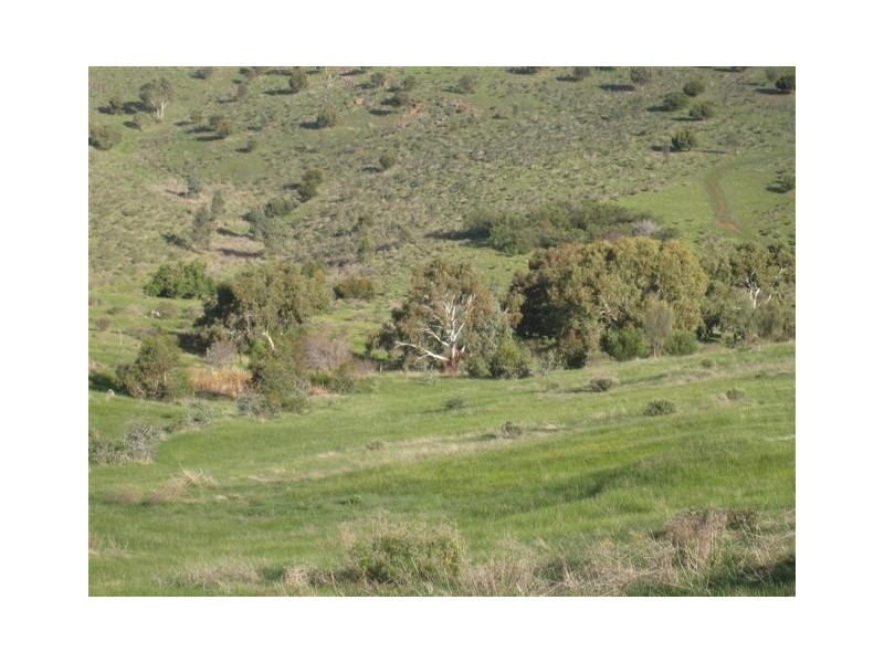 Lot 128, Tiatukia Drive Boston Via, Port Lincoln SA 5606