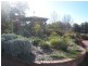 12 Blacker Court, Port Lincoln SA 5606