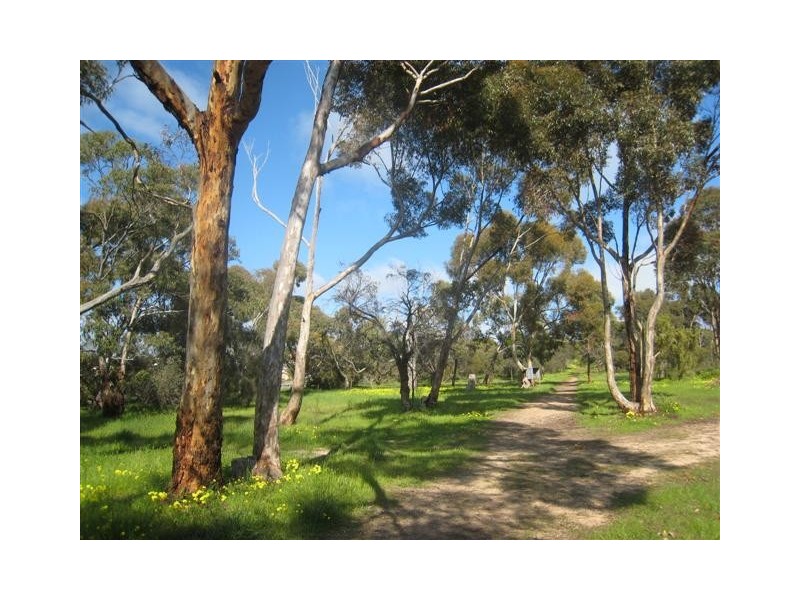 54 Normandy Place, Port Lincoln SA 5606