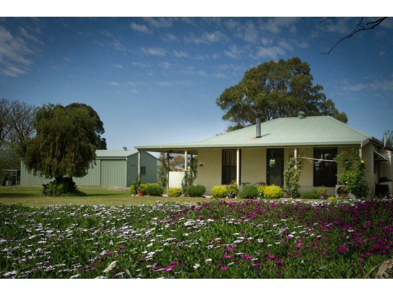 Lot 31 Frenchman Rd, Coulta SA 5607