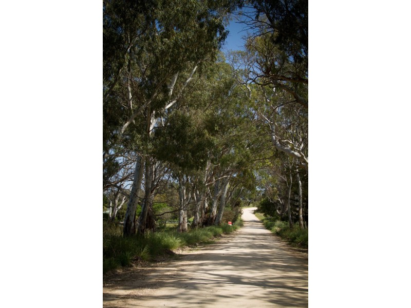 Lot 31 Frenchman Rd, Coulta SA 5607