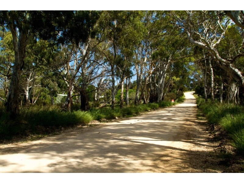 Lot 31 Frenchman Rd, Coulta SA 5607