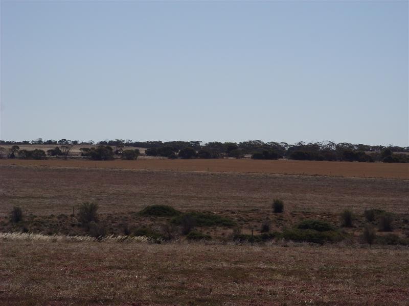 Lot 45 Norton Road, Port Neill SA 5604