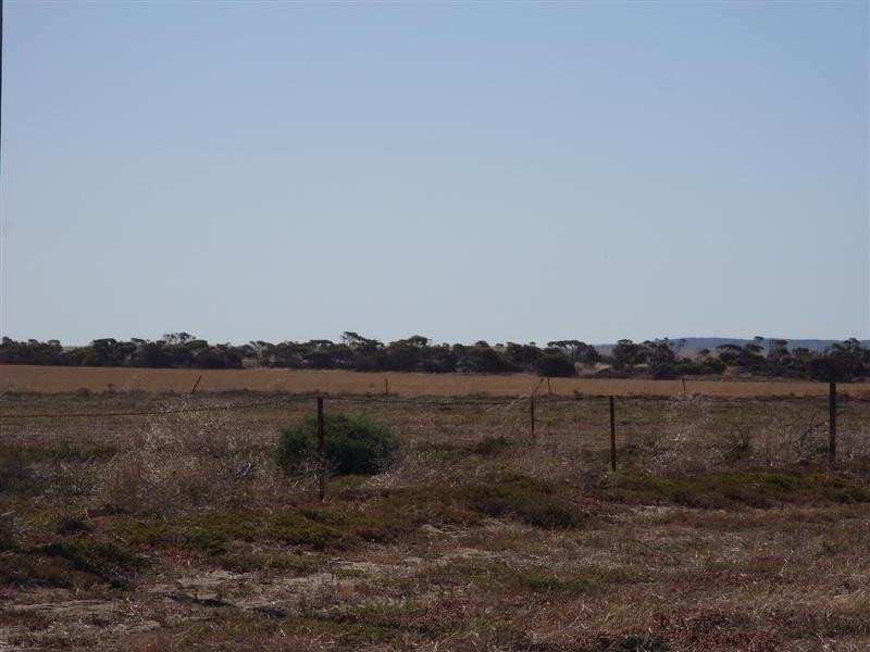 Lot 44 Norton Road, Port Neill SA 5604