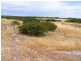 Lot 3 Farm Beach Rd, Wangary SA 5607
