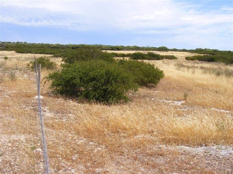 Lot 3 Farm Beach Rd, Wangary SA 5607