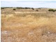 Lot 3 Farm Beach Rd, Wangary SA 5607